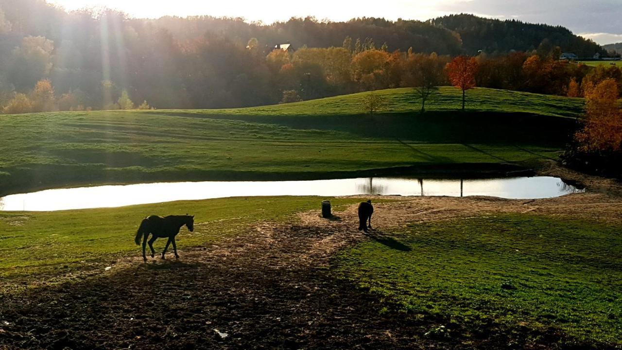 Przystanek Patulskie Pierszczewo Exterior foto